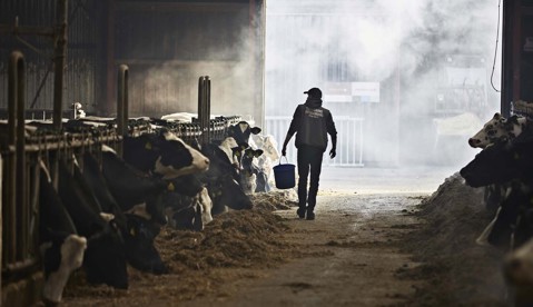 2025 performance at a glance