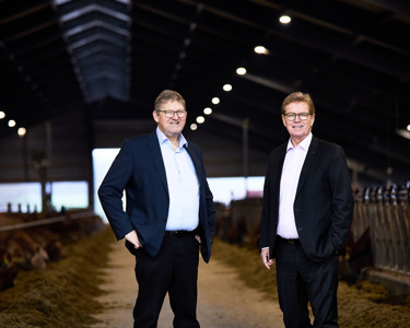 Letters from our Chair and CEO