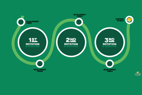 IT Graduate Programme Structure