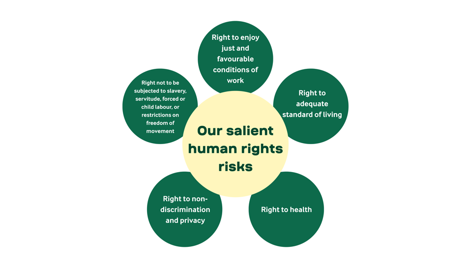 Labour Rights Risks Human Rights in Arla | Arla