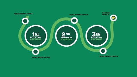 The structure of the programme