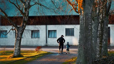 Discover Arla - a farmer-owned dairy company