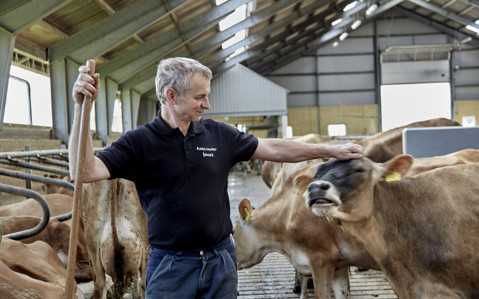 Responsible dairy farming | Arla