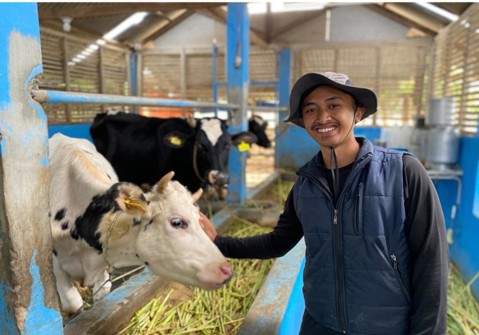 Piloting organic dairy farming in Indonesia