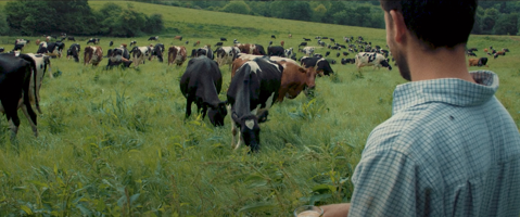Arla is farmer owned