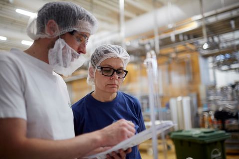 Den danske projektorganisation