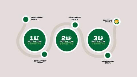 The structure of the programme