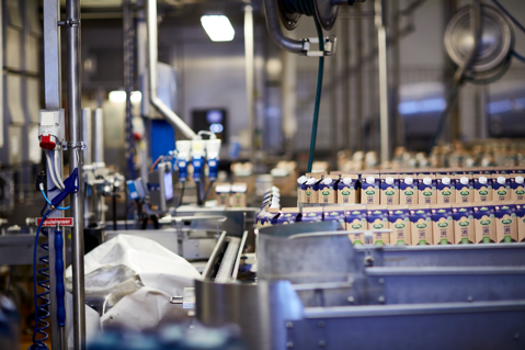 Hvordan bliver du mejerielev?