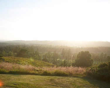 Supplier Collaboration Portal