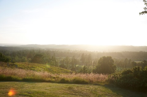 Go to the Supplier Collaboration Portal