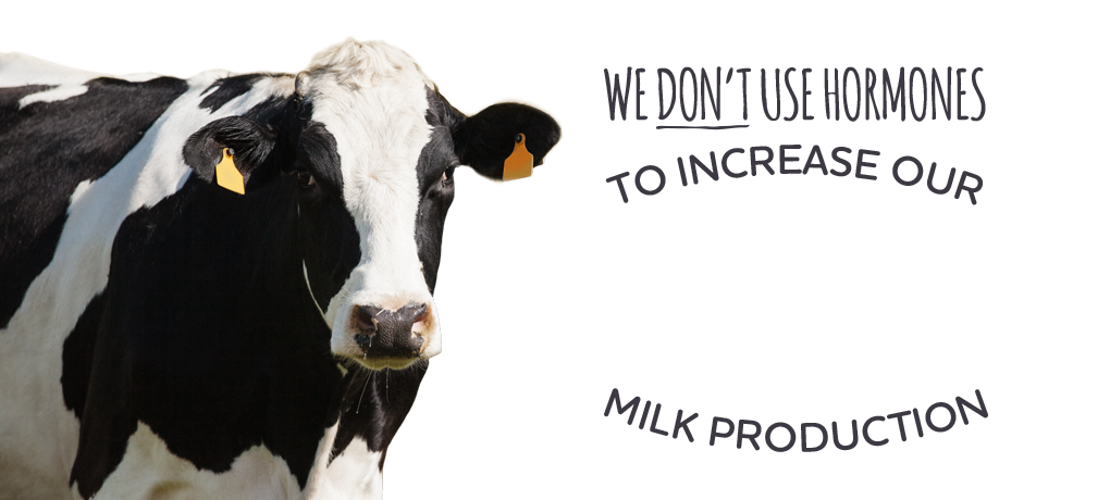 No Hormones for Arla Organic Cow Milk Production